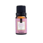 Essencia Lavanda Francesa Via Aroma 10ml